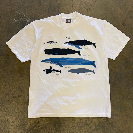 Marine Animals Print Graphic T-shirt